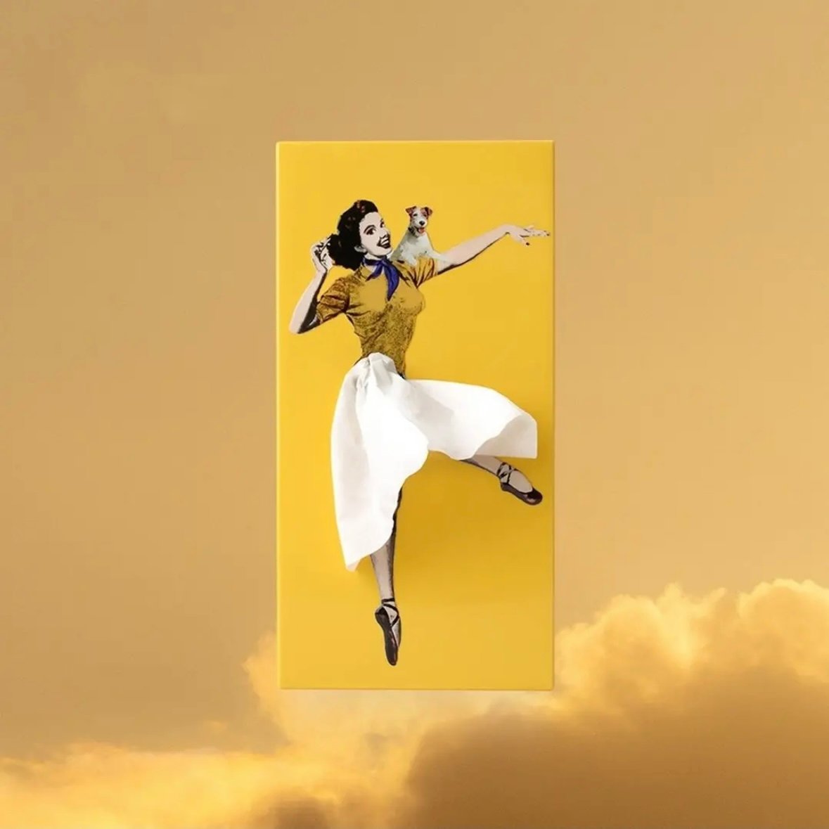 š Flying Skirt Tissue Box