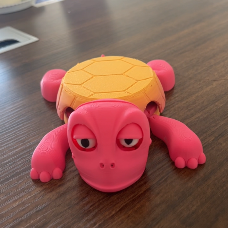 Panicked Turtle Base Cup