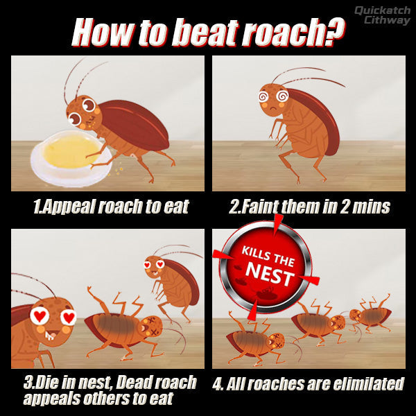 محطة طُعم Quickatch™ Roach Ace