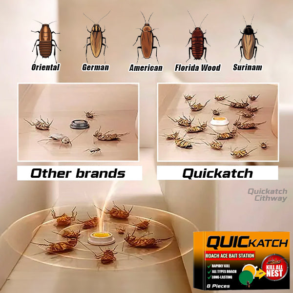 محطة طُعم Quickatch™ Roach Ace