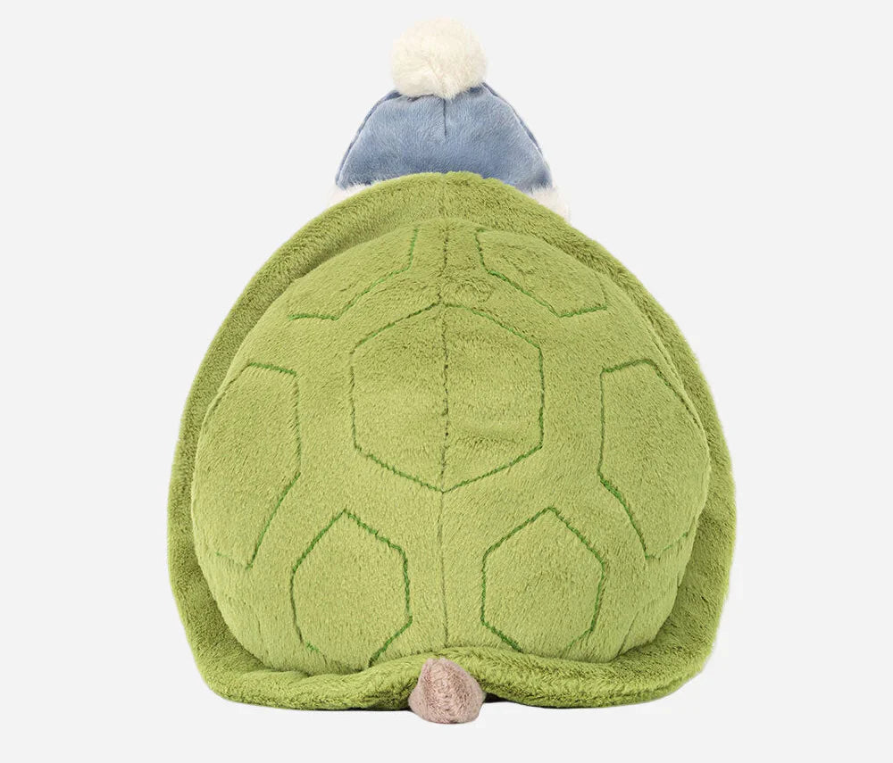 Timmy Turtle