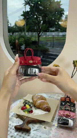 Transparent Mini Handbag Key Case