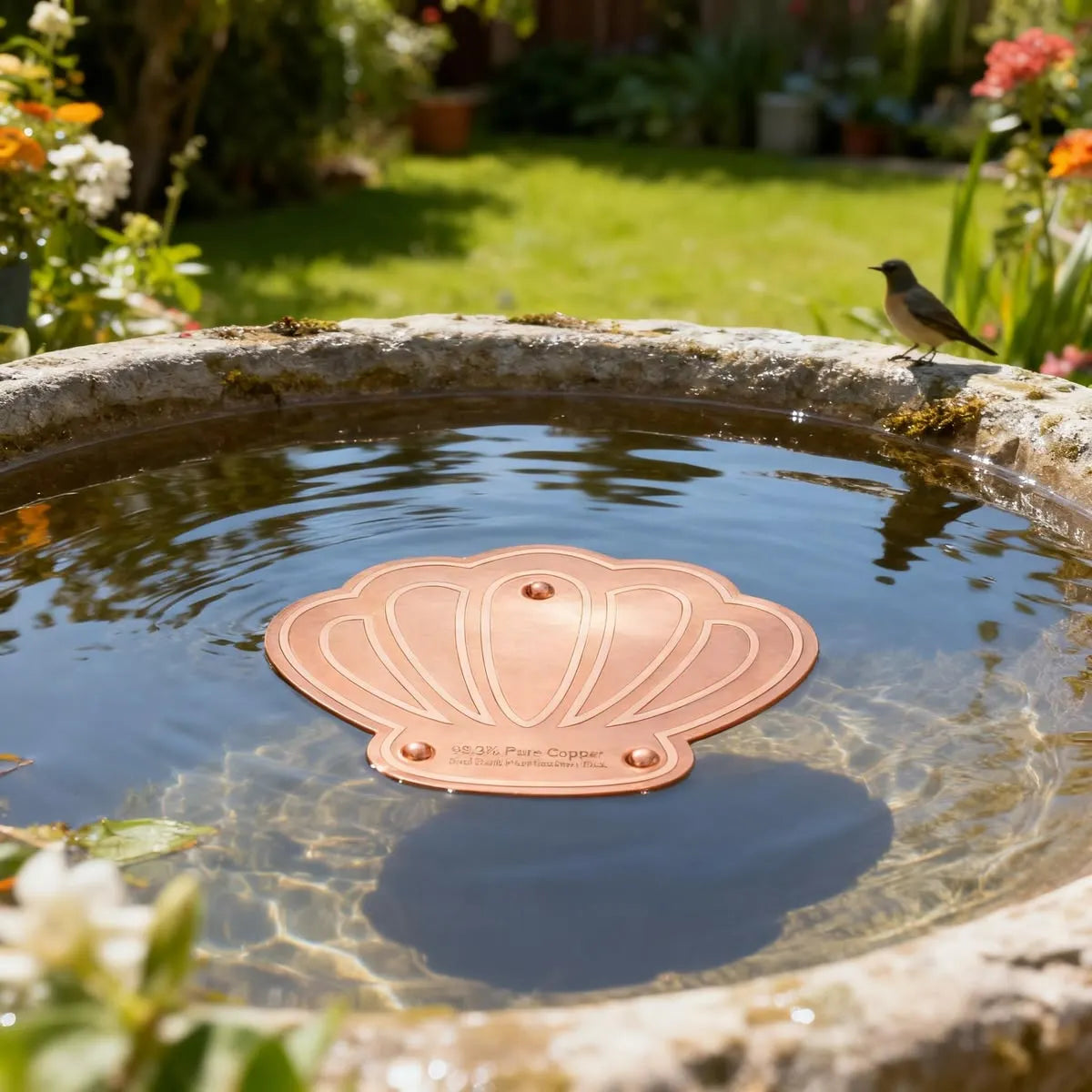🍁Pure Copper Purification Disc for Birdbaths