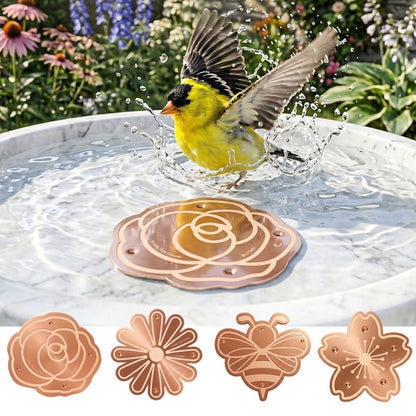 🍁Pure Copper Purification Disc for Birdbaths
