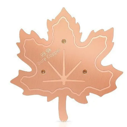 🍁Pure Copper Purification Disc for Birdbaths