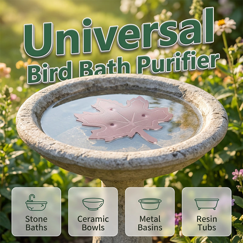 🍁Pure Copper Purification Disc for Birdbaths