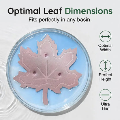 🍁Pure Copper Purification Disc for Birdbaths