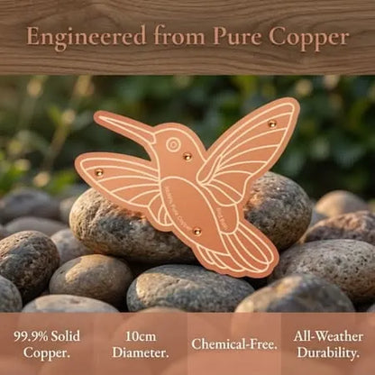 🍁Pure Copper Purification Disc for Birdbaths
