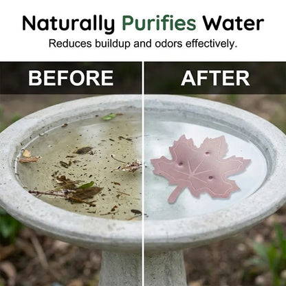 🍁Pure Copper Purification Disc for Birdbaths