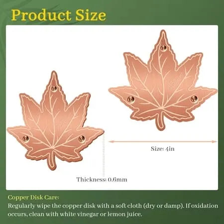 🍁Pure Copper Purification Disc for Birdbaths