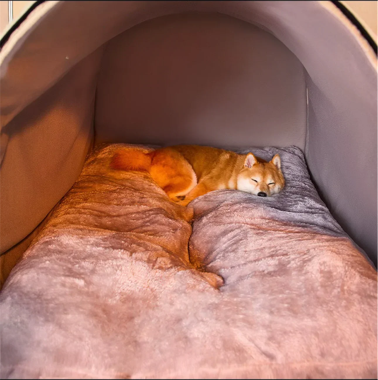 Cozy Pet House