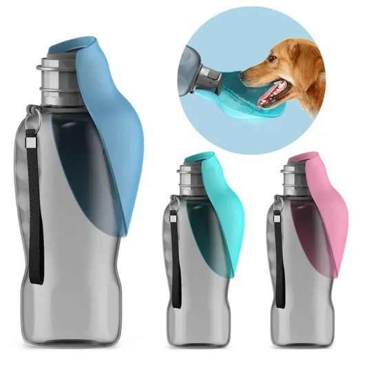Travel Water Bottle with Bowl