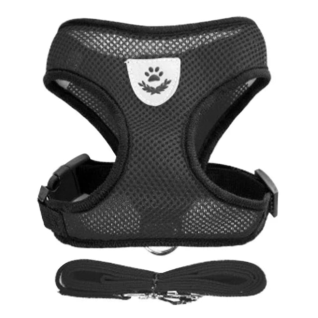 Cat & Dog Harness & Leash