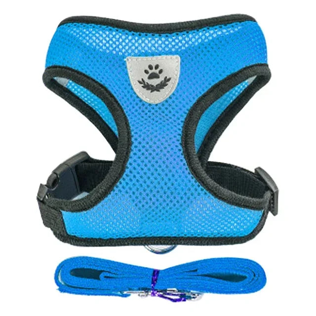 Cat & Dog Harness & Leash