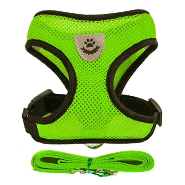 Cat & Dog Harness & Leash