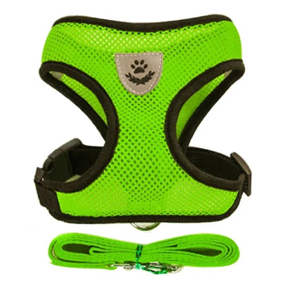 Cat & Dog Harness & Leash