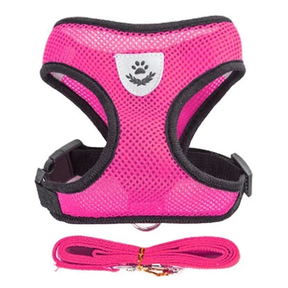 Cat & Dog Harness & Leash