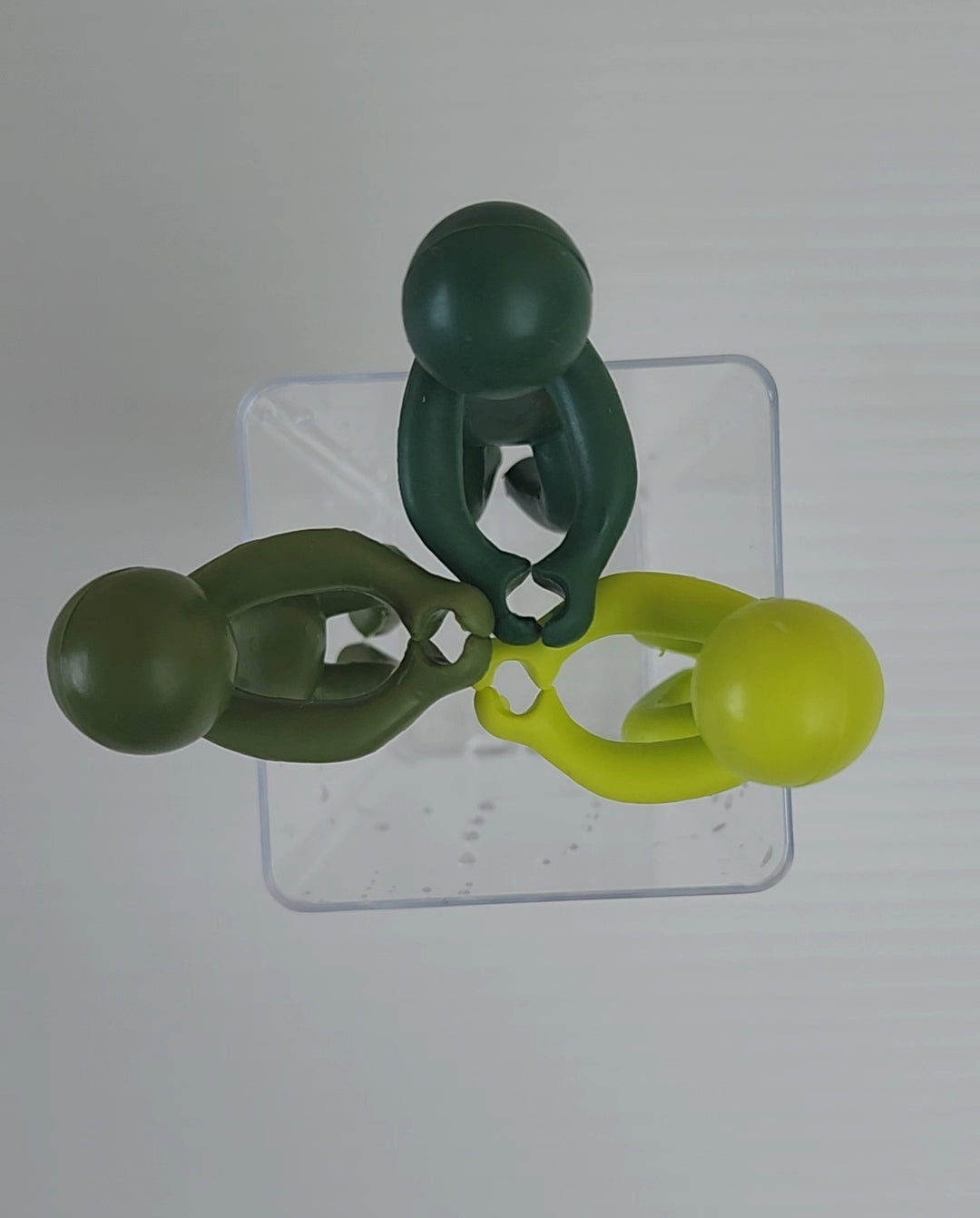Plant Propagation Buddy - Cute Plant Supports - Leaf of Faith SA