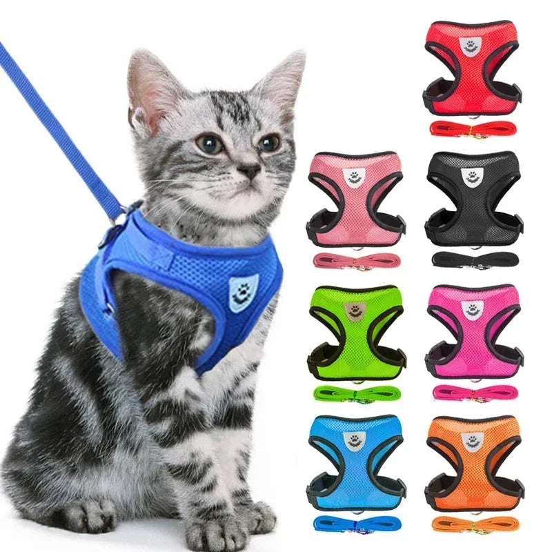 Cat & Dog Harness & Leash