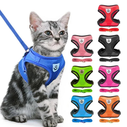 Cat & Dog Harness & Leash