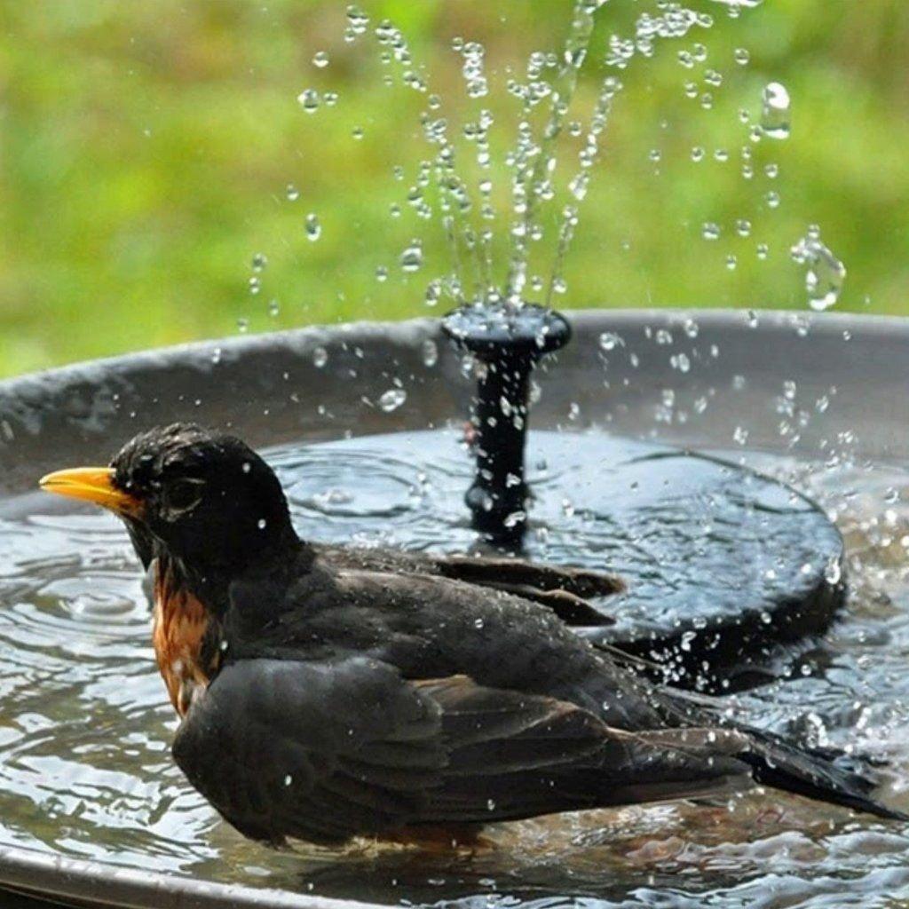Solar Garden Fountain Solar Powered Fountain Pump for Bird Bath, Garden - If you say i do
