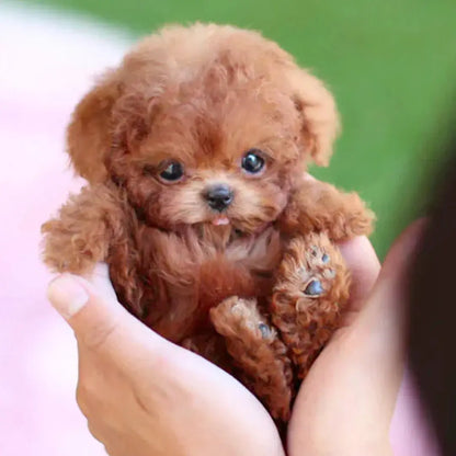 Realistic Robot Puppy – Playful Walks & Endless Cuddles