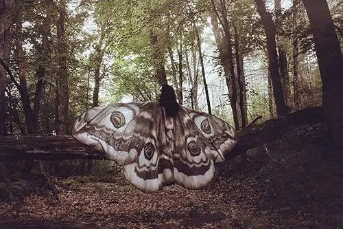 Grey Moth Wings Cape – Mystical Festival & Costume Shawl