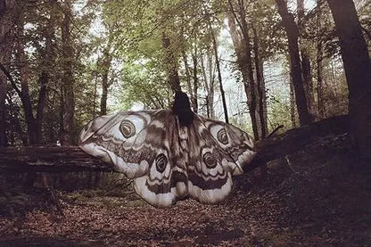 Grey Moth Wings Cape – Mystical Festival & Costume Shawl