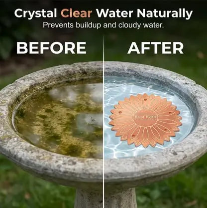 🍁Pure Copper Purification Disc for Birdbaths