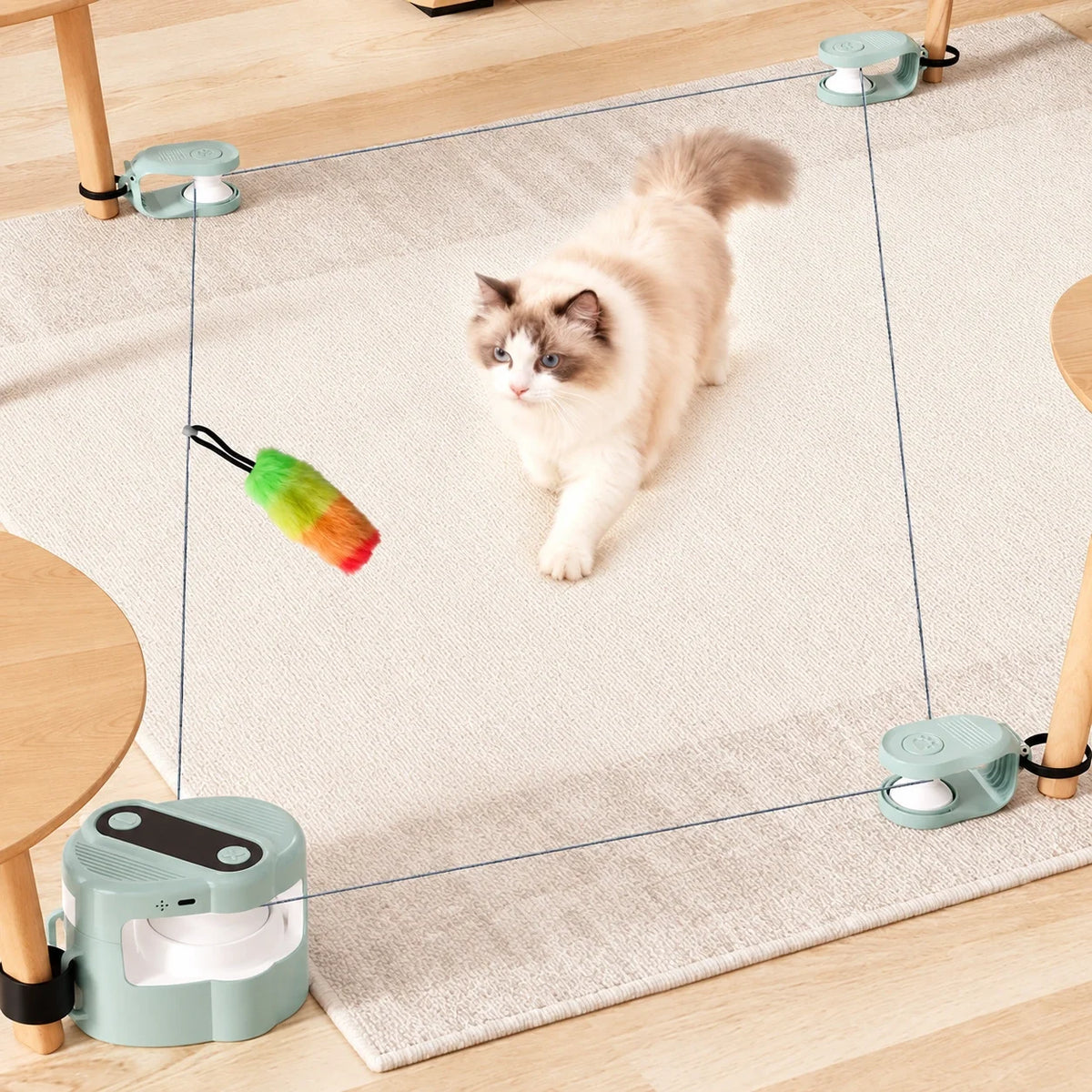 Turn Boredom Into Play – Smart Remote Cat Chasing Toy with Bird Sounds
