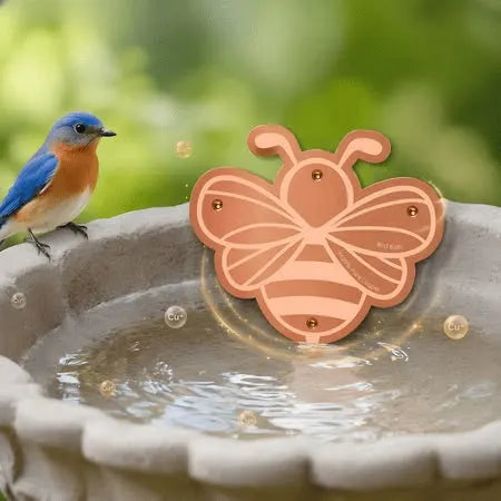 🍁Pure Copper Purification Disc for Birdbaths