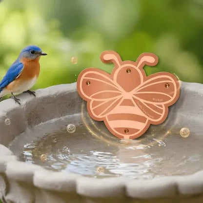 🍁Pure Copper Purification Disc for Birdbaths