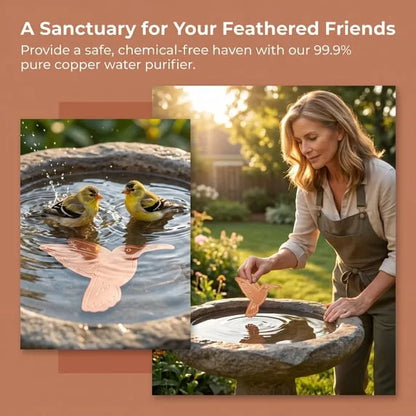 🍁Pure Copper Purification Disc for Birdbaths