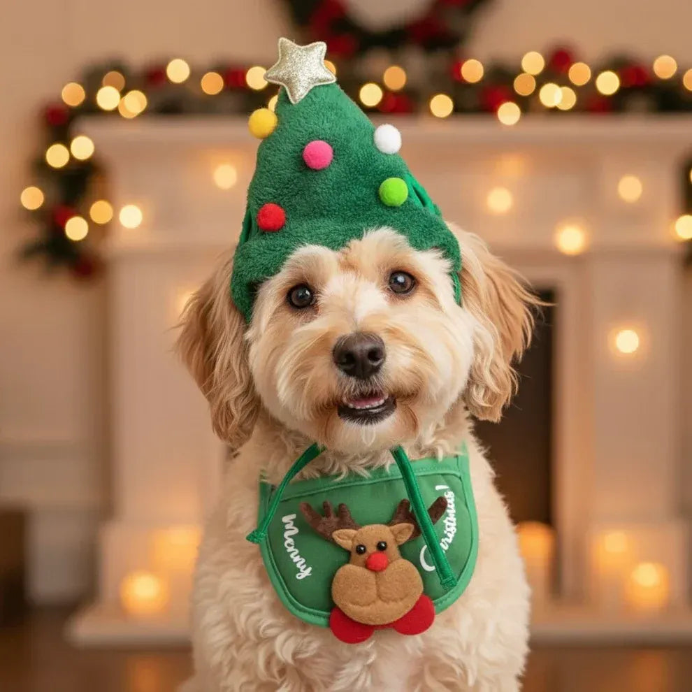 Holiday Pet Outfit ( Hat + Scarf )